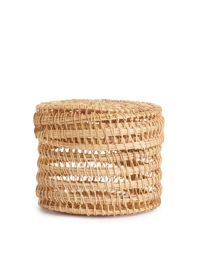 Palmen-Aufbewahrungsbox 10 cm Palmen-Aufbewahrungsbox 10 cm