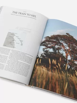 Verwandtschaftsreisen Verwandtschaftsreisen