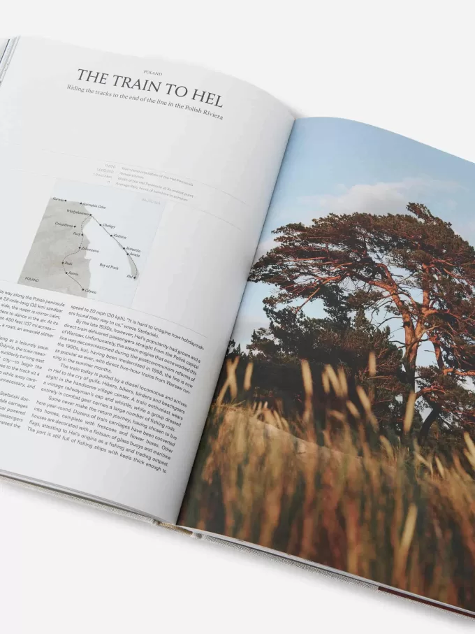 Verwandtschaftsreisen